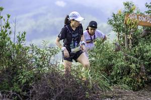 BIB: 2666
                            <button type="button" onclick="openModal(24765691)" class="btn btn-primary btn-sm float-right btn-popup" data-toggle="modal" data-target=".modal-high-quality">
                        <i class="fas fa-shopping-cart"></i> Add to Cart
                    </button>
                                            <button type="button" onclick="isThisMe(24765691, true)" class="btn btn-success btn-sm float-right btn-popup btn-isme hidden" data-toggle="tooltip" data-placement="bottom" title="นี่คือรูปของคุณใช่ไหม คลิกที่นี่เพื่อเอาเข้าอัลบั้ม">
                        <i class="fas fa-plus"></i> Add to album
                    </button>
                    <button type="button" onclick="isThisMe(24765691, false)" class="btn btn-warning btn-sm float-right btn-popup btn-isnotme hidden">
                        <i class="fas fa-ban"></i> Remove from album
                    </button>